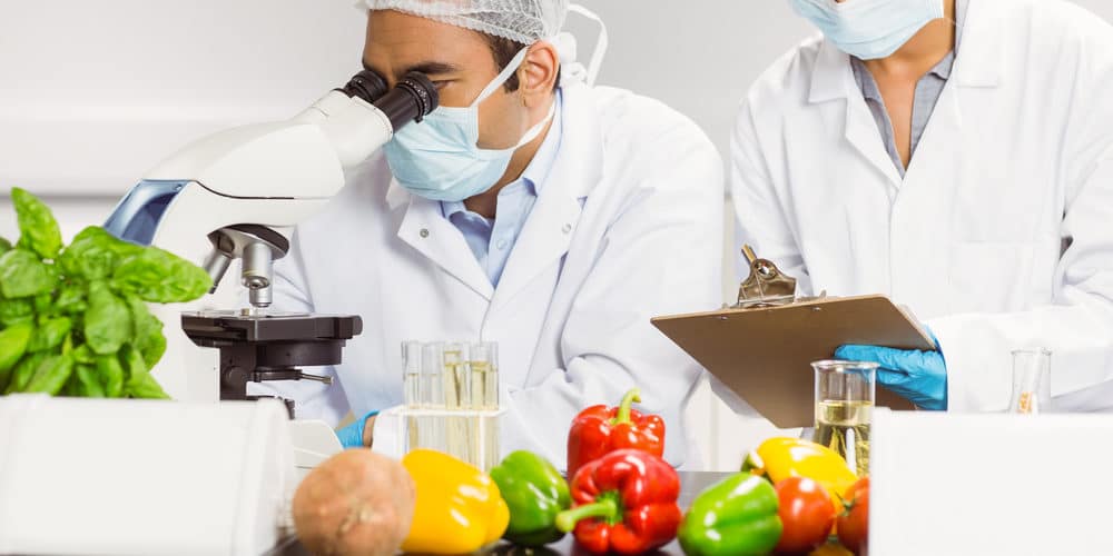 Trabalhadores de nutrição avaliando ingredientes para preparo de comida